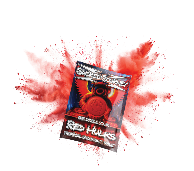 Sacred Journey Hippy Flip Tablets